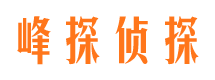 广水外遇调查取证